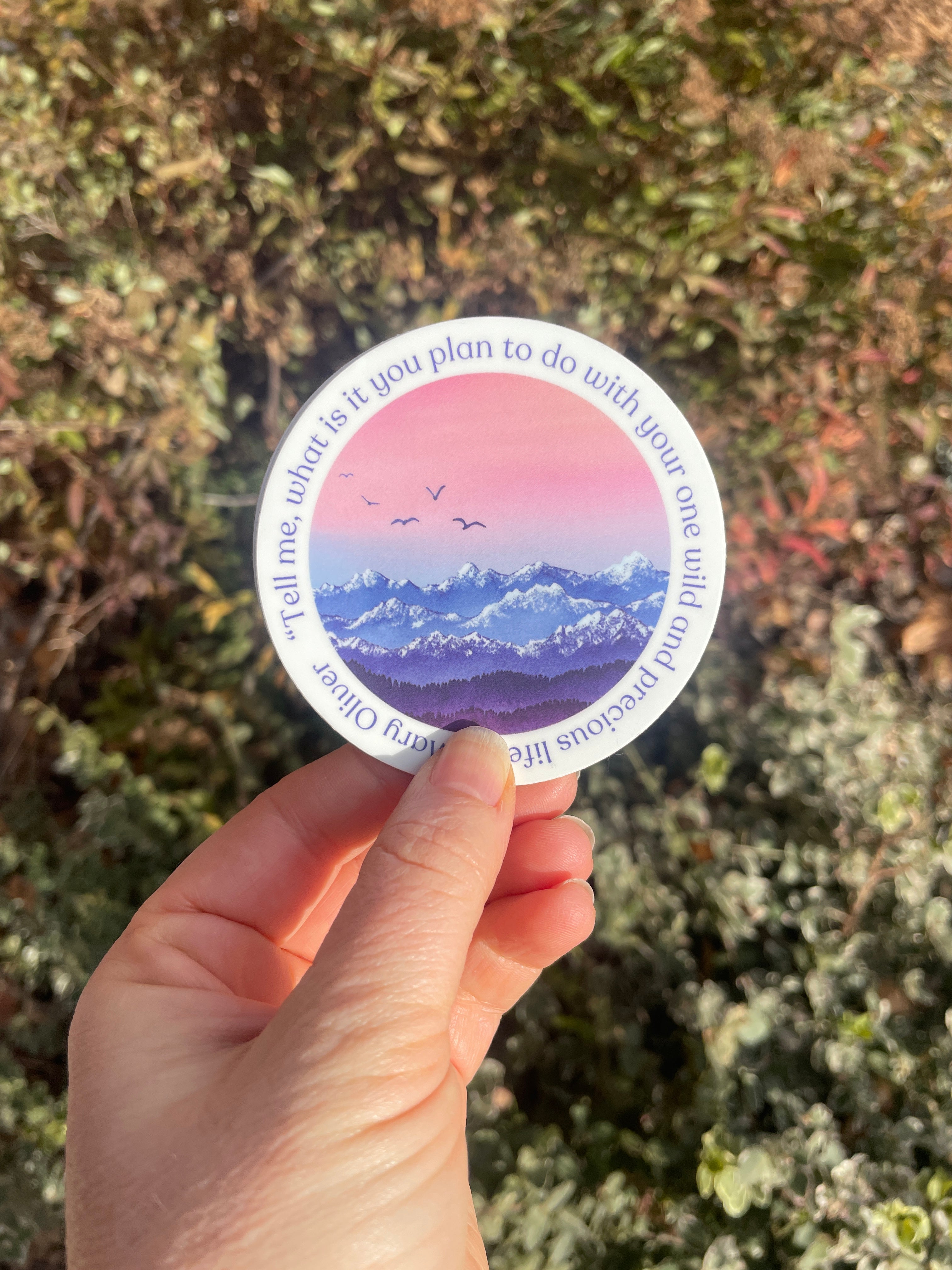 "Your One Wild and Precious Life"  Inspirational Quote Vinyl Sticker