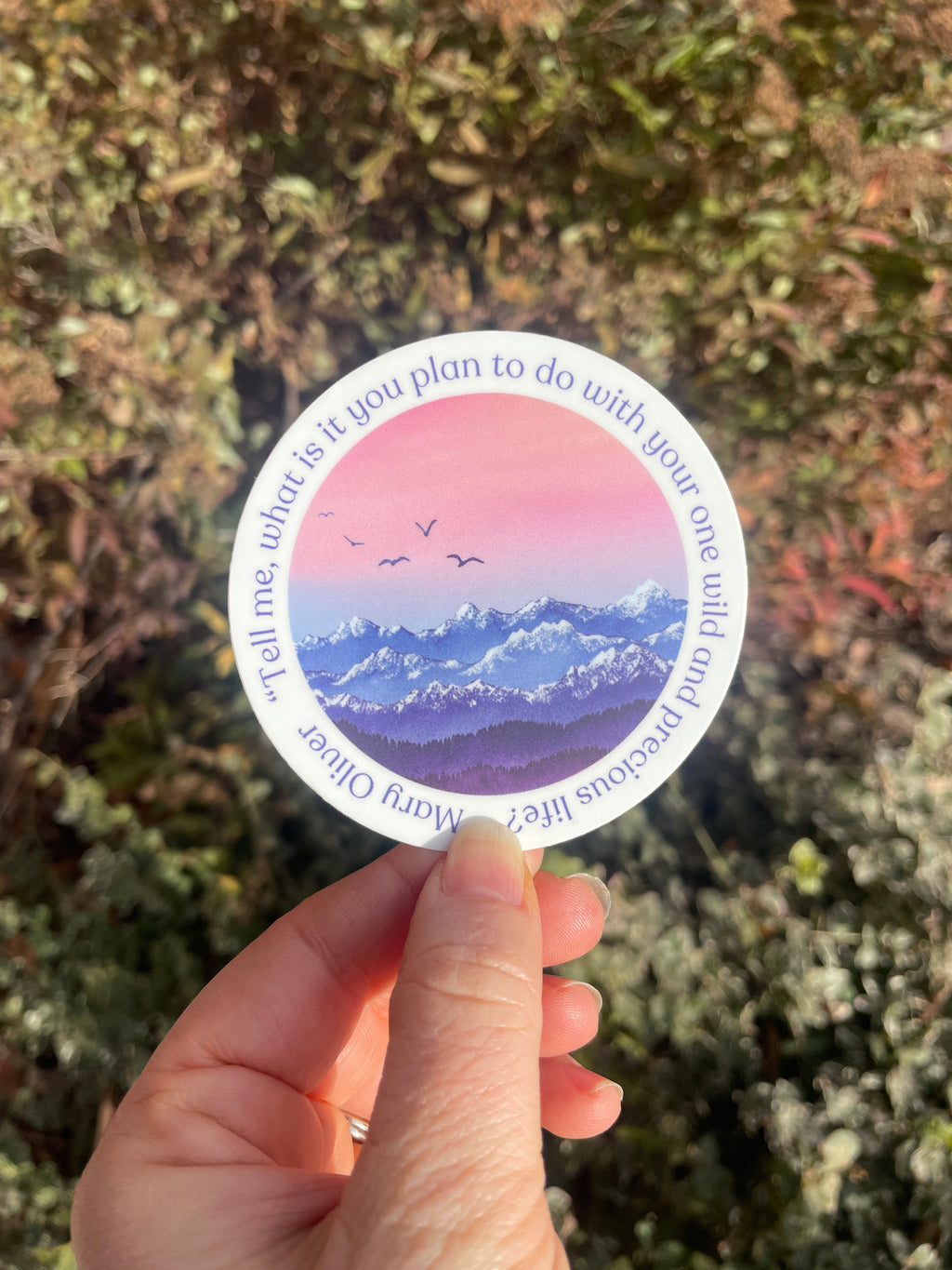 "Your One Wild and Precious Life"  Inspirational Quote Vinyl Sticker