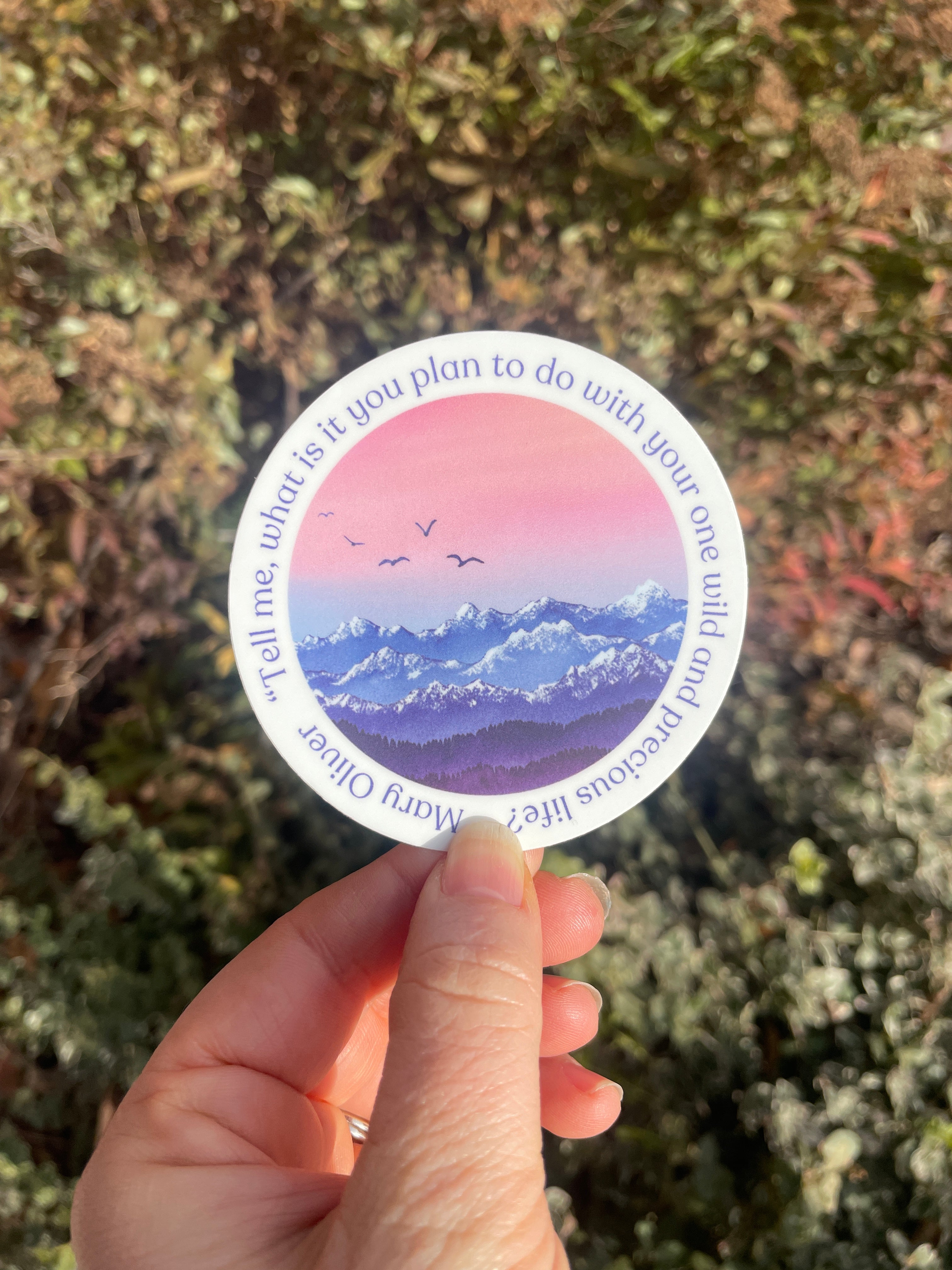 "Your One Wild and Precious Life"  Inspirational Quote Vinyl Sticker