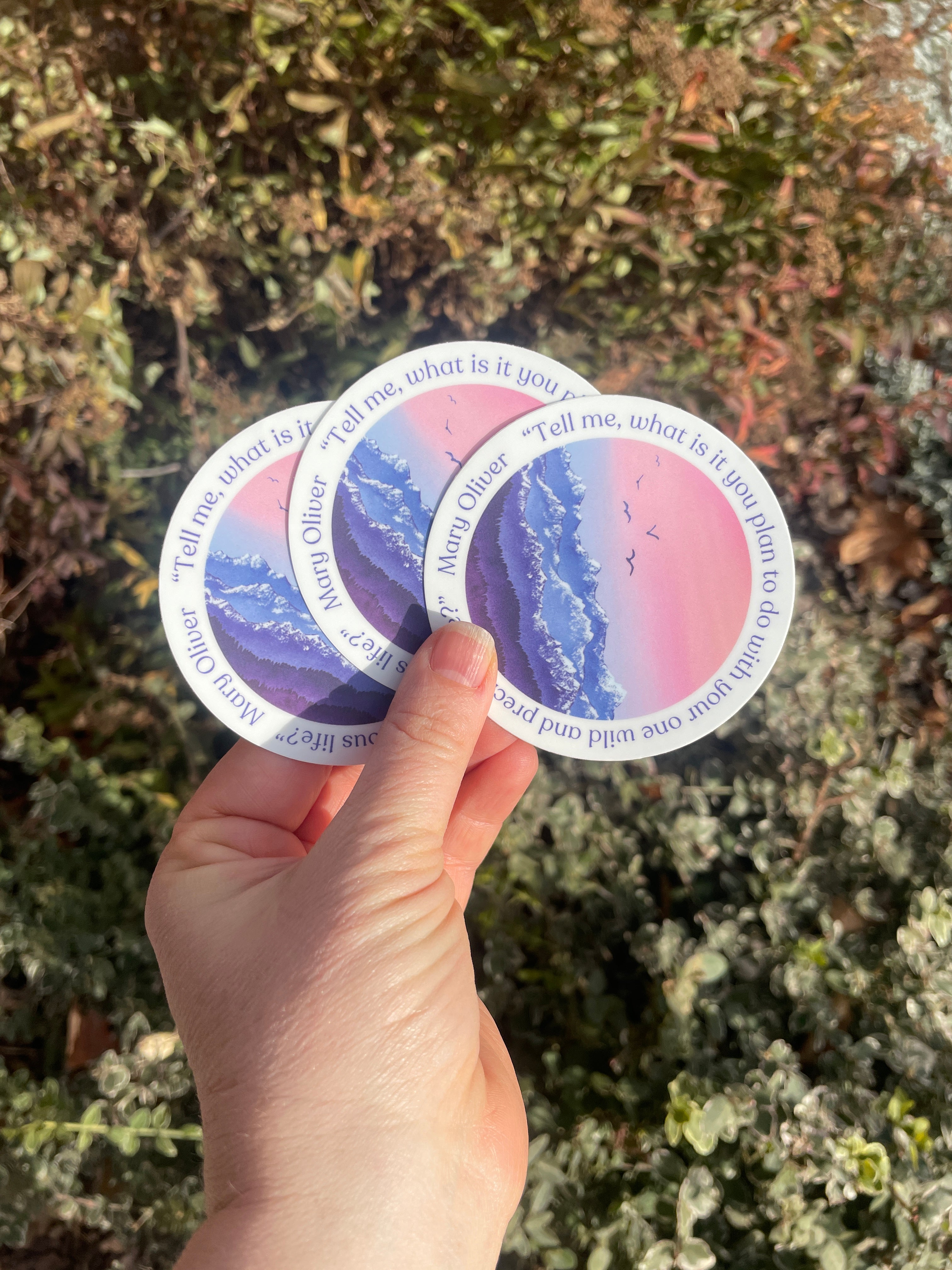 "Your One Wild and Precious Life"  Inspirational Quote Vinyl Sticker